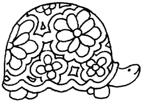 Floral Ornament Of Turtle   coloring page image