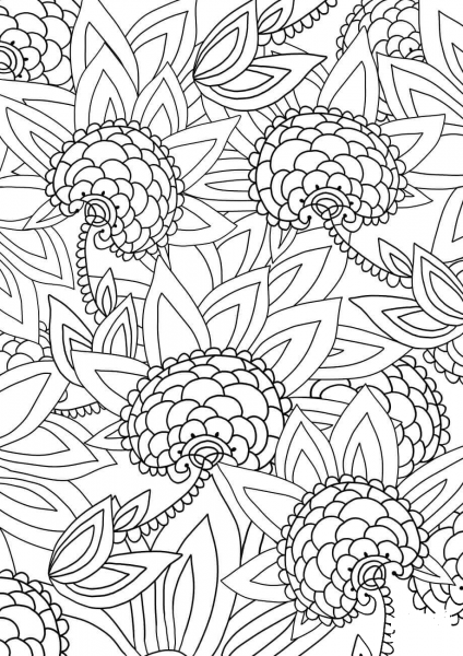 Floral Pattern coloring page image
