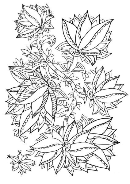 Floral Pattern coloring page image