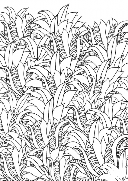 Floral Pattern coloring page image