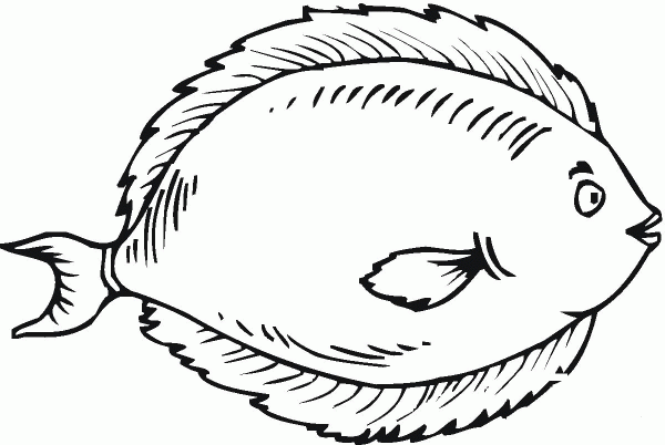 Flounder 3 coloring page image