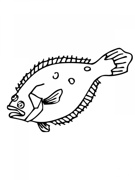 Flounder coloring page image
