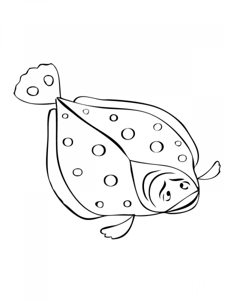 Flounder Fish coloring page image