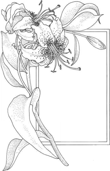 Flower And The Frame  coloring page image
