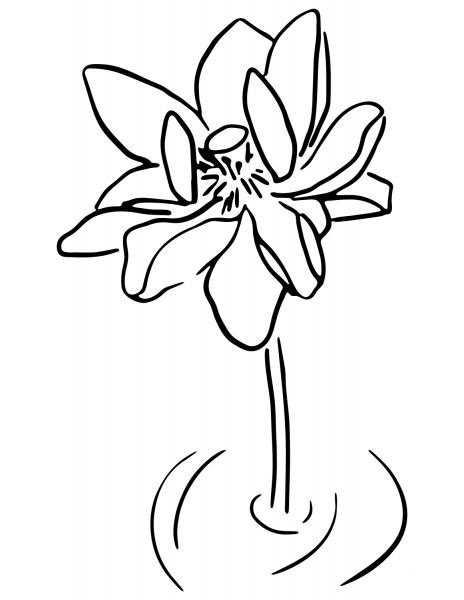 Flower coloring page image
