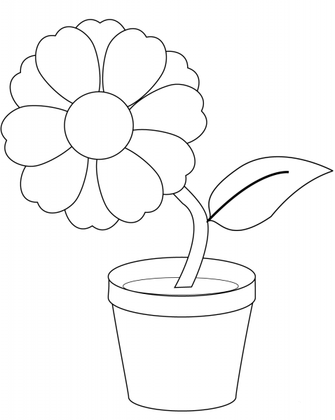 Flower in a Pot coloring page image