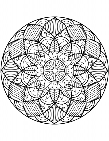 Flower Mandala coloring page image