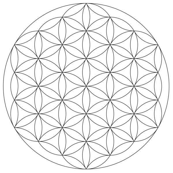 Flower of Life Mandala coloring page image