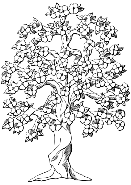 Flowering Apple Tree coloring page image