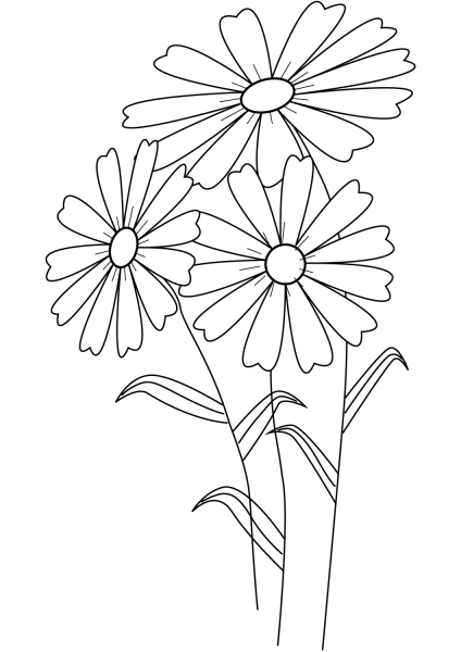 Flowers coloring page image