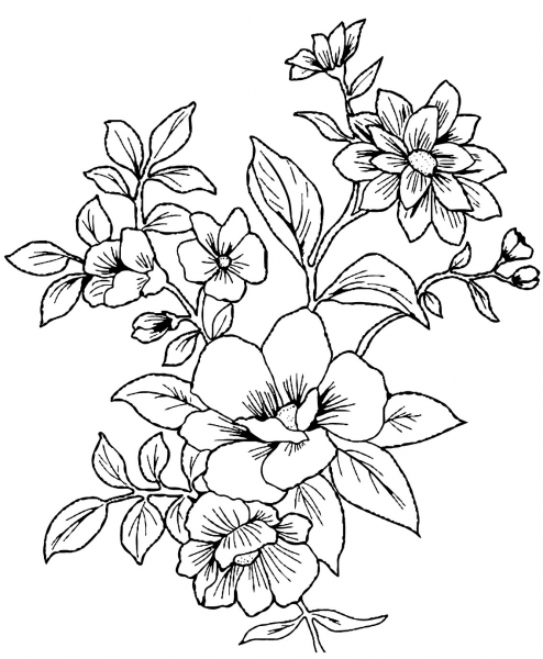 Flowers coloring page image