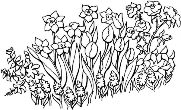 Flowers In The Garden  coloring page image