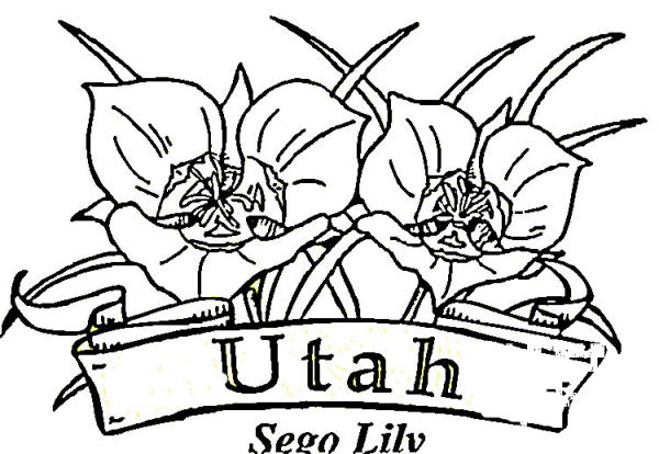 Flowers Of Utah  coloring page image