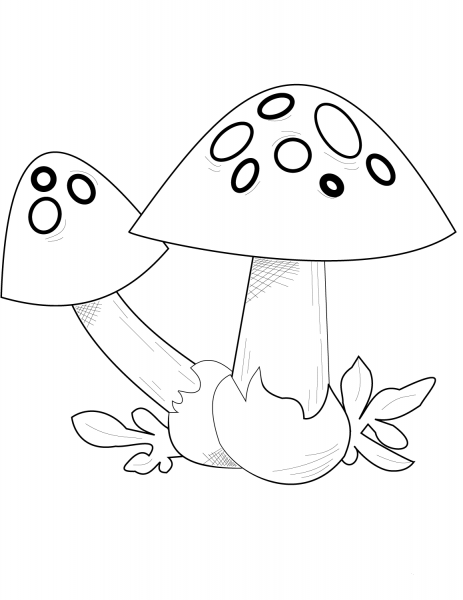 Fly Agaric coloring page image