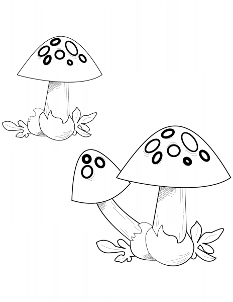 Fly Agaric coloring page image