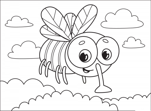 Fly coloring page image