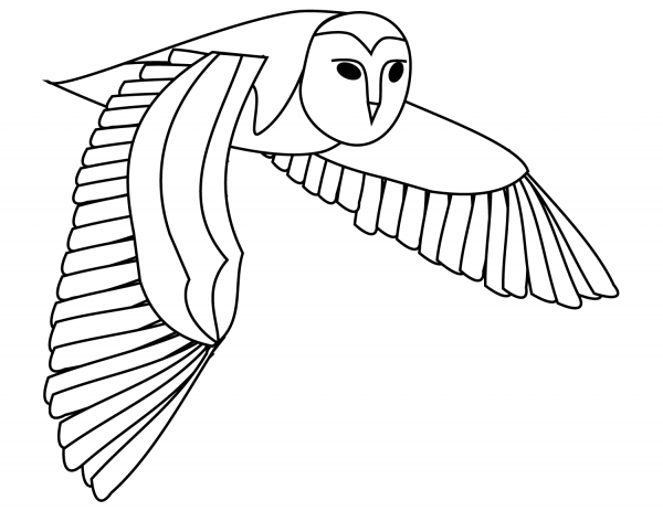 Flying Barn Owl coloring page image