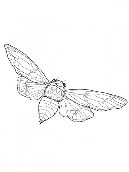 Flying Cicada coloring page image