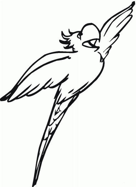 Flying Cockatoo coloring page image