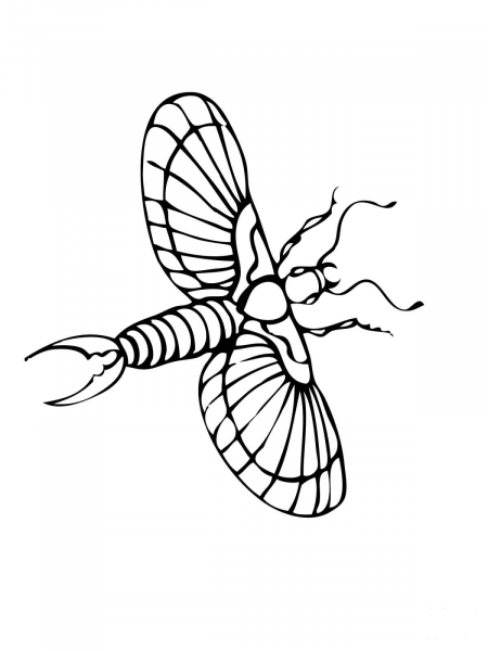 Flying Earwig coloring page image