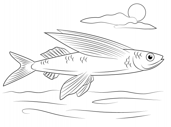 Flying Fish coloring page image