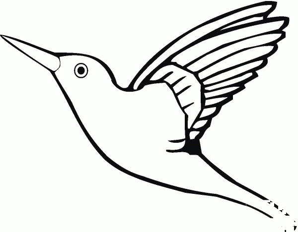 Flying Hummingbird coloring page image
