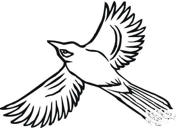 Flying Jay coloring page image