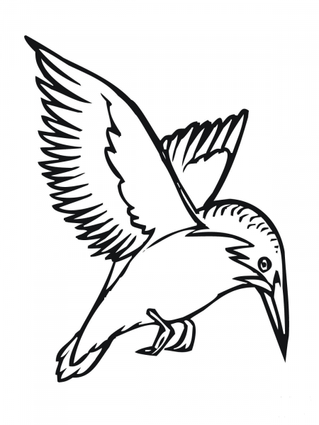Flying Kingfisher coloring page image