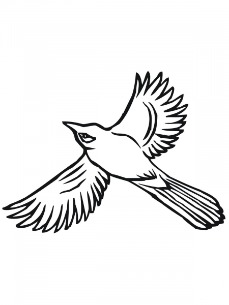 Flying Magpie coloring page image