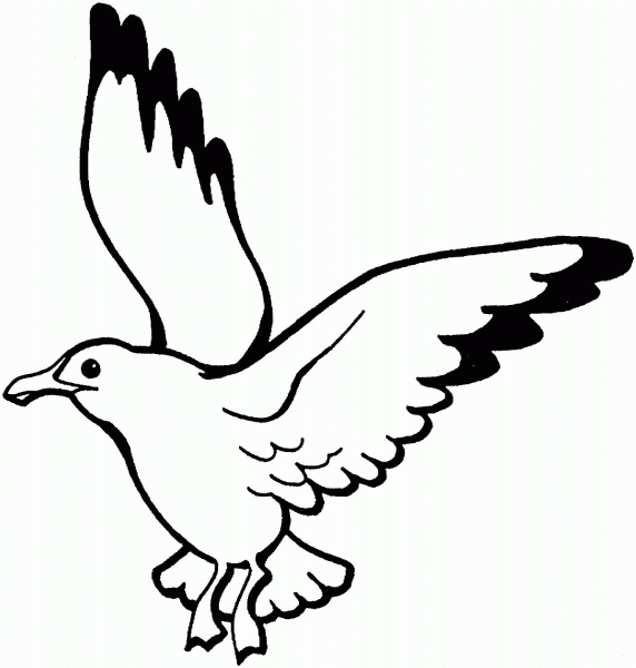 Flying Seagull coloring page image