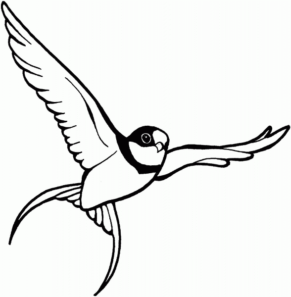 Flying Sparrow coloring page image