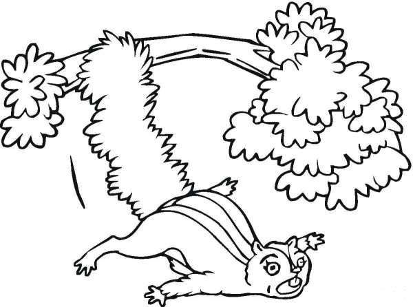 Flying Squirrel from the Tree  coloring page image