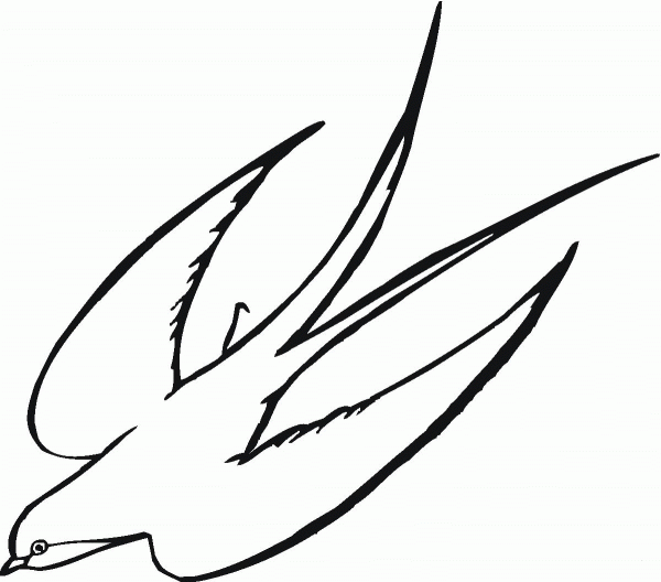 Flying Swallow Bird coloring page image