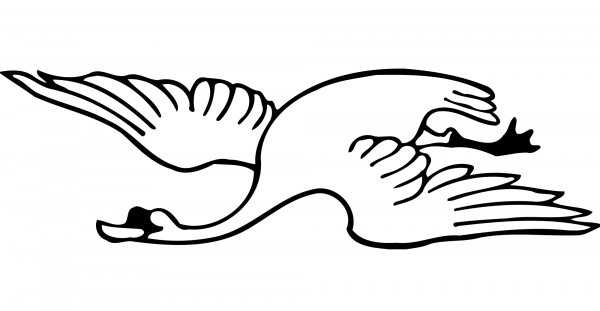 Flying Swan coloring page image