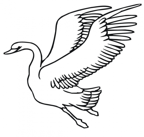 Flying Swan coloring page image