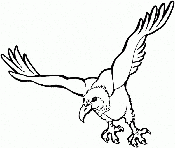 Flying Vulture coloring page image