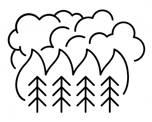 Forest Fire coloring page image