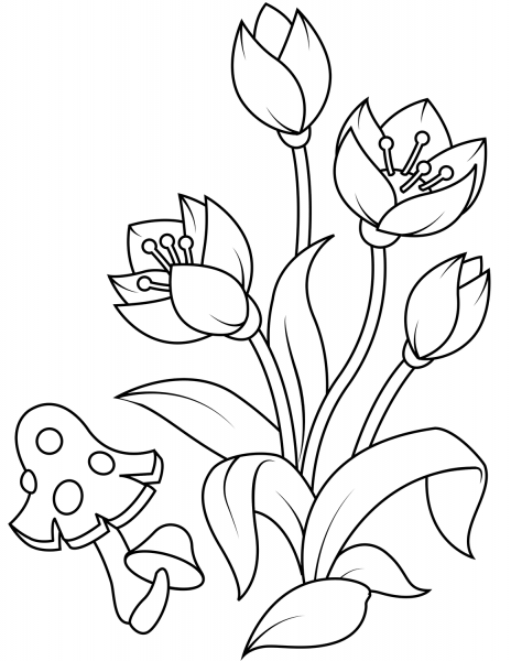 Forest Flowers and Fly Agaric coloring page image