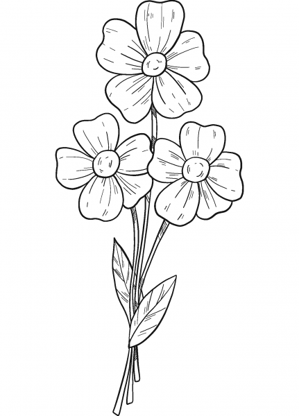 Forget-Me-Not coloring page image
