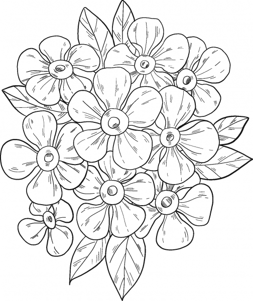 Forget-Me-Not coloring page image