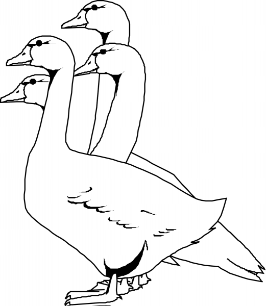 Four Geese coloring page image