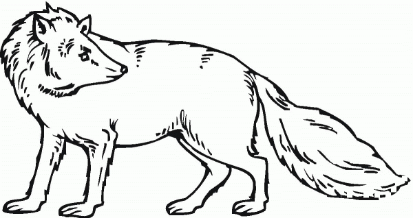 Fox Looks Back coloring page image