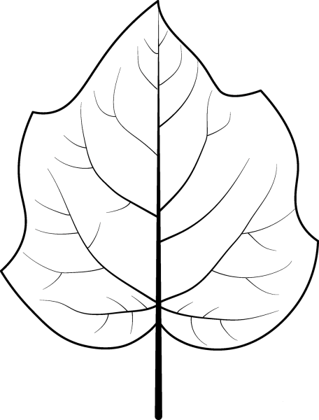 Foxglove Tree Leaf coloring page image