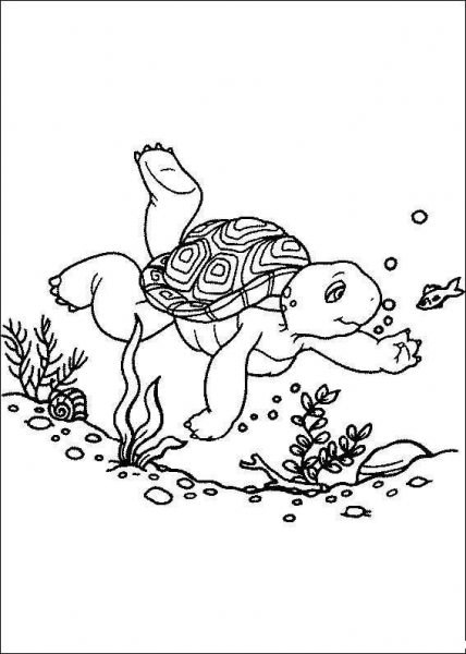 Franklin Is Swimming In The Pool  coloring page image