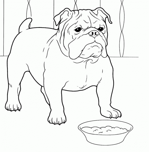 French Bulldog coloring page image