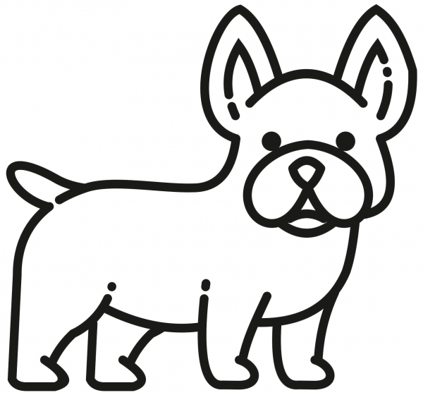 French Bulldog coloring page image