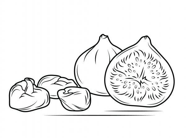 Fresh and Dry Figs coloring page image