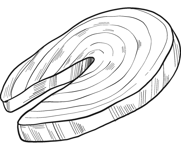 Fried Fish coloring page image