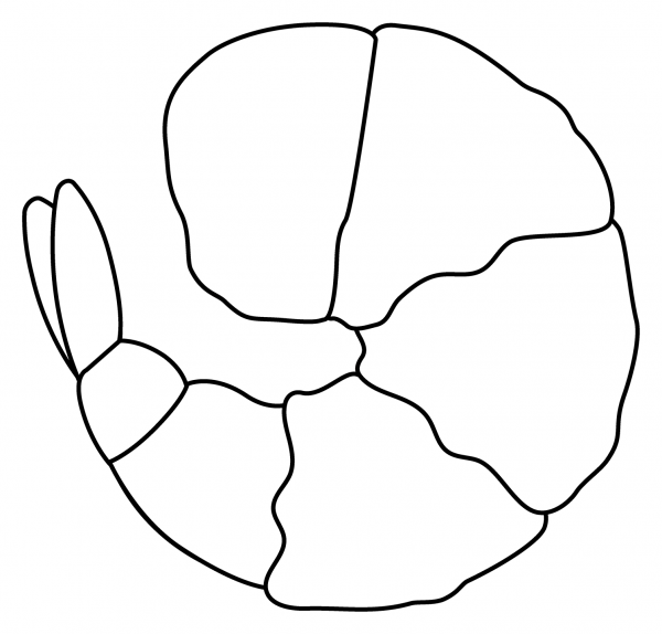 Fried Shrimp Emoji coloring page image