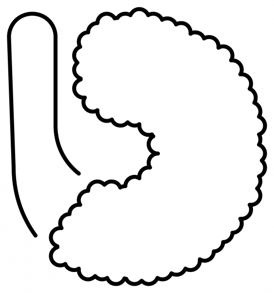 Fried Shrimp Emoji coloring page image